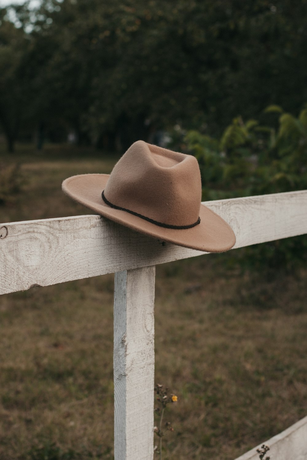 hat